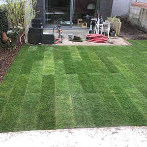 grasmatten